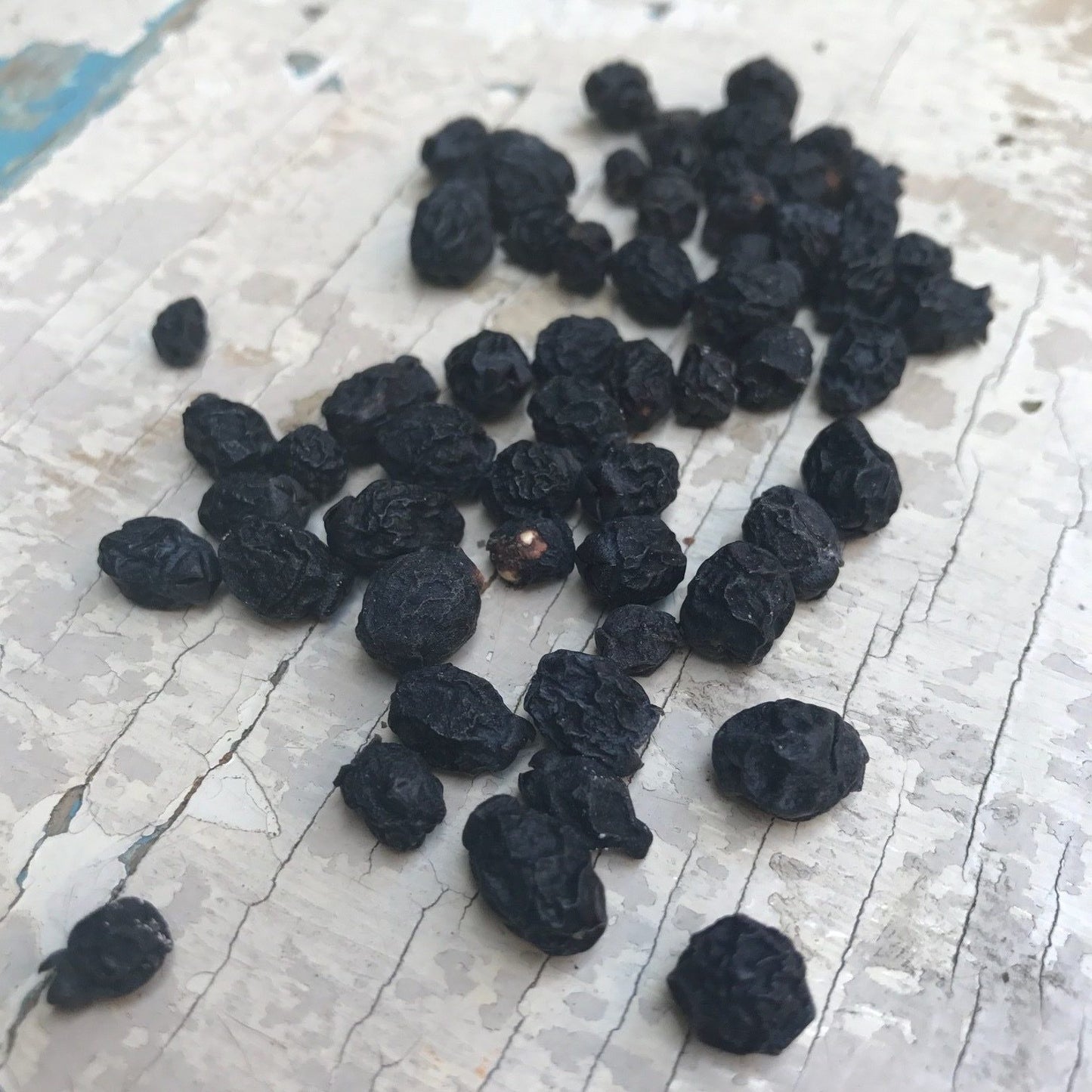 Jagody mirtu (śródziemnomorskiego) - 30g